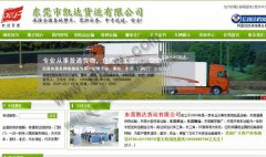 东莞APP开发公司——翔创网络科技有限公司